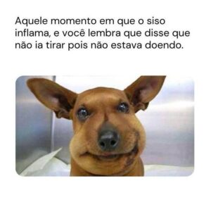 Meme de um cachorro bochechudo, dizendo que só lembra de tirar o dente do siso quando ele inflama.