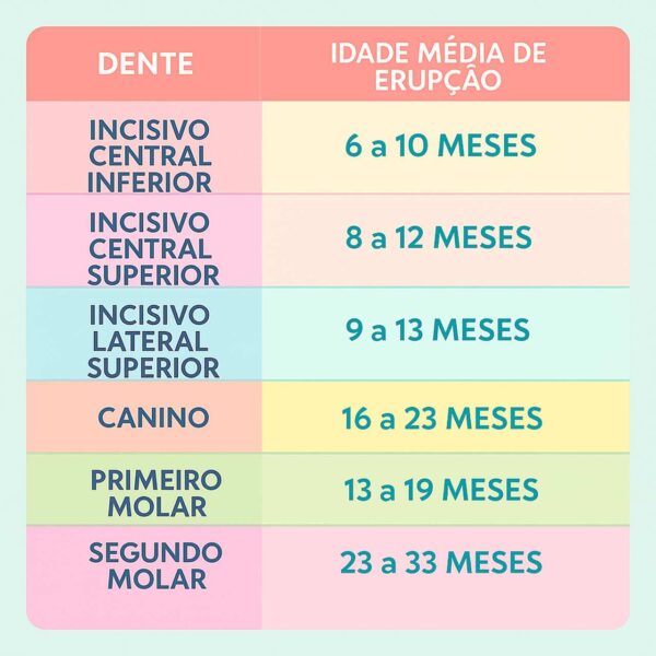tabela de erupção dos dentes de leite